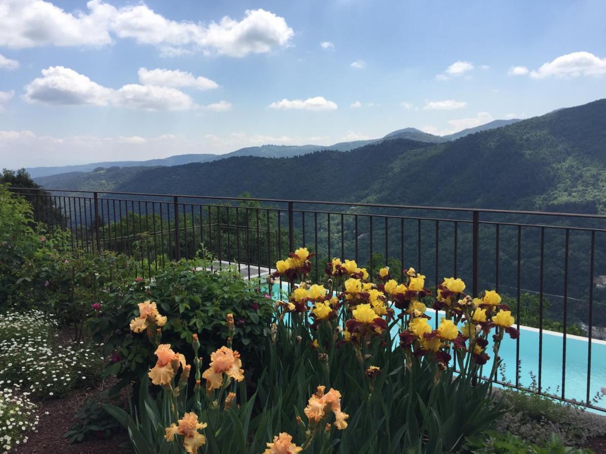 Bellevue Bed & Breakfast Saint-Paterne-Racan Luaran gambar